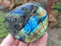 Polished Labradorite Standing Free Forms x 6 From Tulear, Madagascar