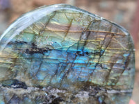 Polished Labradorite Standing Free Forms x 6 From Tulear, Madagascar