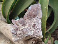 Natural Red Hematoid Quartz Clusters x 2 From Karoi, Zimbabwe