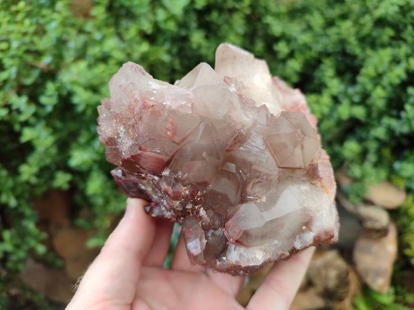 Natural Red Hematoid Quartz Clusters x 2 From Karoi, Zimbabwe