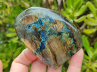 Polished Labradorite Standing Free Forms x 6 From Madagascar