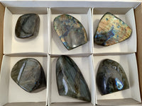 Polished Labradorite Standing Free Forms x 6 From Madagascar