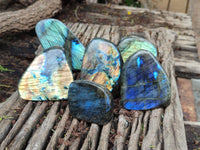 Polished Labradorite Standing Free Forms x 6 From Madagascar