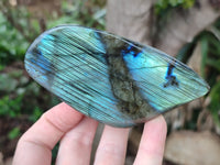 Polished Labradorite Standing Free Forms x 6 From Madagascar