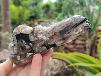 Natural Smokey Quartz Clusters With Aegirine x 3 From Malawi