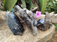 Natural Smokey Quartz Clusters With Aegirine x 3 From Malawi