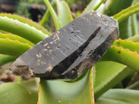 Natural Smokey Quartz Clusters With Aegirine x 3 From Malawi