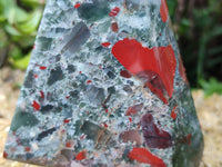 Polished Bloodstone Points x 2 From Swaziland