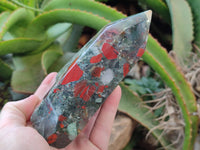 Polished Bloodstone Points x 2 From Swaziland