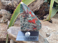 Polished Bloodstone Points x 2 From Swaziland