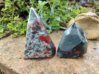 Polished Bloodstone Points x 2 From Swaziland