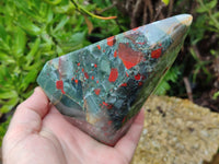 Polished Bloodstone Points x 2 From Swaziland