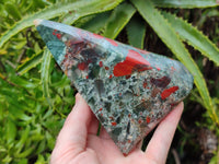 Polished Bloodstone Points x 2 From Swaziland