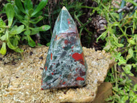 Polished Bloodstone Points x 2 From Swaziland