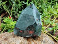 Polished Bloodstone Points x 2 From Swaziland