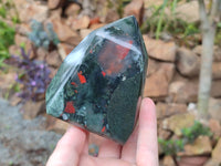 Polished Bloodstone Points x 2 From Swaziland