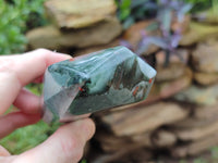 Polished Bloodstone Points x 2 From Swaziland