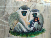 Hand Made Monkey Decoupage Stone Slabs x 6 From Southern Africa