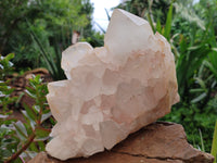 Natural Quartz Cluster x 1 From Madagascar