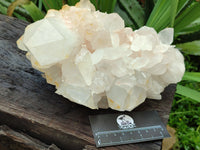 Natural Quartz Cluster x 1 From Madagascar