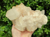 Natural Quartz Cluster x 1 From Madagascar