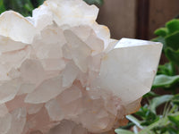 Natural Quartz Cluster x 1 From Madagascar