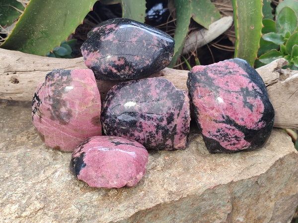 Polished on One Side Rhodonite Nodules x 5 From Ambindavato, Madagascar