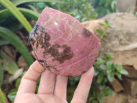 Polished on One Side Rhodonite Nodules x 5 From Ambindavato, Madagascar