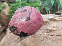 Polished on One Side Rhodonite Nodules x 5 From Ambindavato, Madagascar