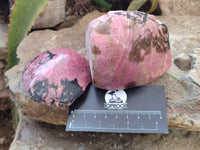 Polished on One Side Rhodonite Nodules x 5 From Ambindavato, Madagascar