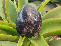 Polished on One Side Rhodonite Nodules x 5 From Ambindavato, Madagascar