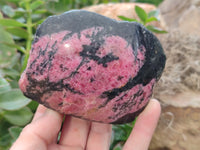 Polished on One Side Rhodonite Nodules x 5 From Ambindavato, Madagascar