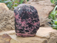 Polished on One Side Rhodonite Nodules x 5 From Ambindavato, Madagascar