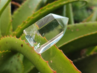 Polished Clear Quartz Points x 12 From Madagascar