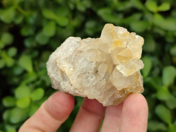 Natural Limonite Quartz Clusters x 35 From Solwezi, Zambia