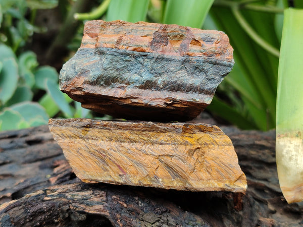 Natural Tigers Eye Specimens x 12 From Prieska, South Africa