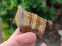 Polished On One Side Tiger's Eye Slabs x 6 From South Africa