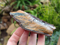 Polished On One Side Tiger's Eye Slabs x 6 From South Africa