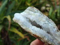 Natural Blue Lace Agate Geode Specimens x 6 From Malawi