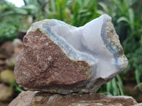 Natural Blue Lace Agate Geode Specimens x 6 From Malawi