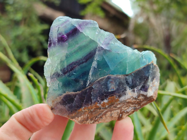 Polished On One Side Watermelon Fluorite x 6 From Uis, Namibia