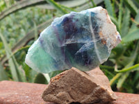 Polished On One Side Watermelon Fluorite x 6 From Uis, Namibia