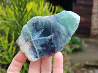 Polished On One Side Watermelon Fluorite x 6 From Uis, Namibia