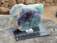 Polished On One Side Watermelon Fluorite x 6 From Uis, Namibia