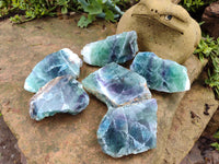 Polished On One Side Watermelon Fluorite x 6 From Uis, Namibia