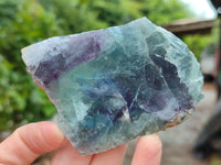 Polished On One Side Watermelon Fluorite x 6 From Uis, Namibia