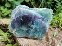 Polished On One Side Watermelon Fluorite x 6 From Uis, Namibia