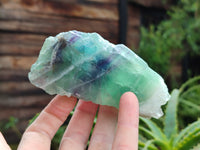 Polished On One Side Watermelon Fluorite x 6 From Uis, Namibia