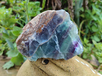 Polished On One Side Watermelon Fluorite x 6 From Uis, Namibia