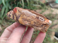 Natural Nguni Jasper Cobbed Specimens x 12 From Prieska, South Africa